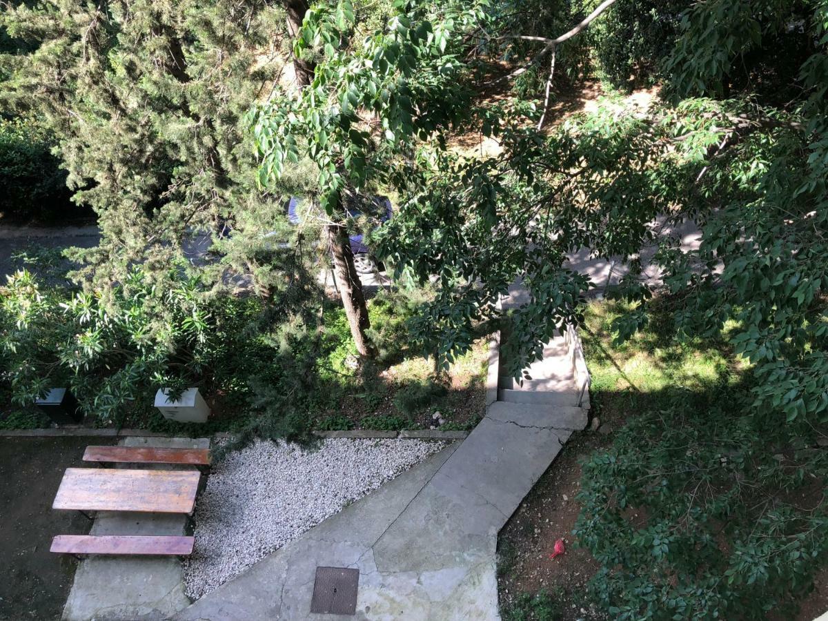 Apartament Ante