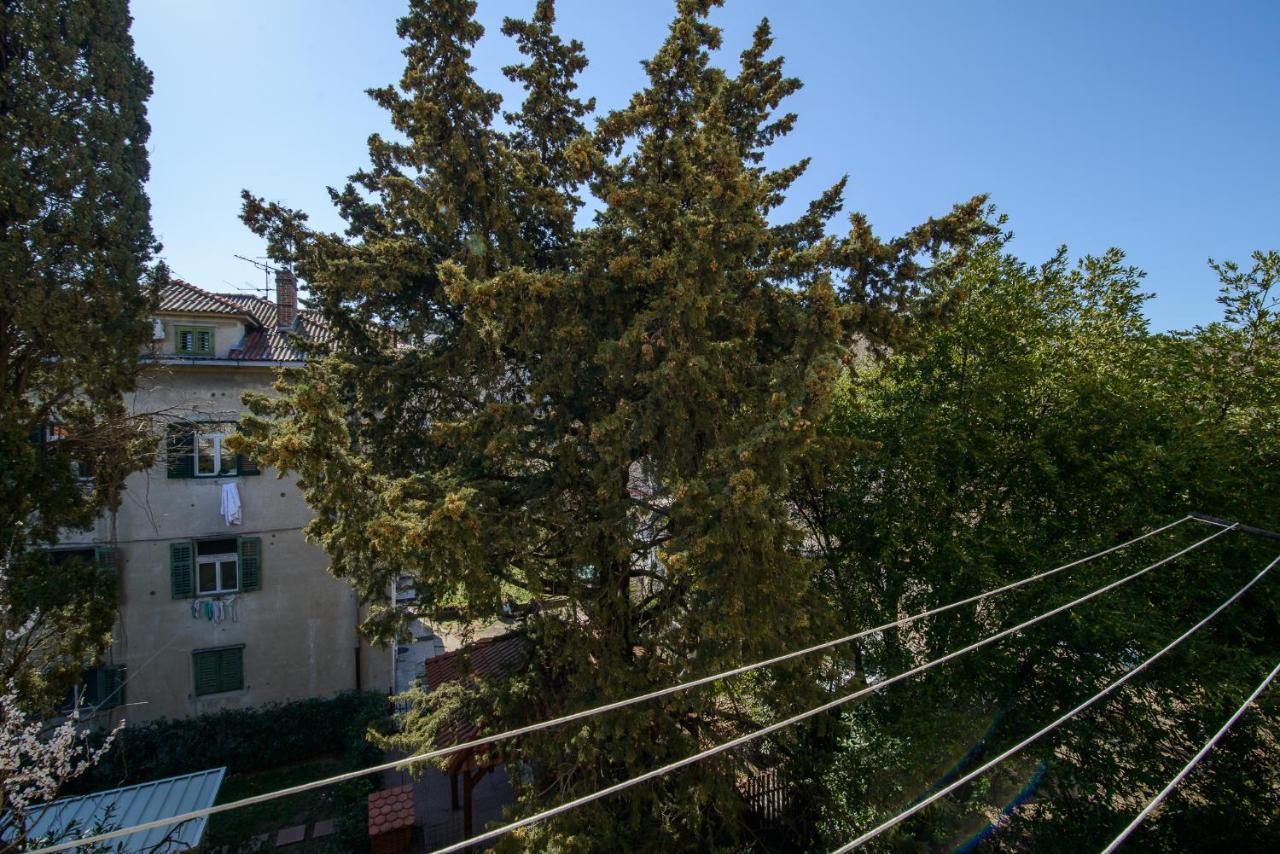 Ante Apartment
